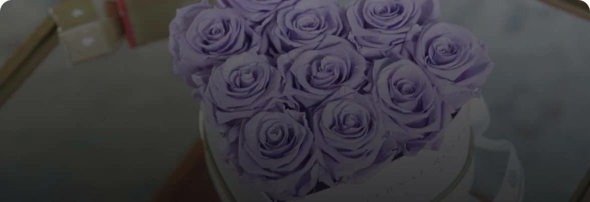 Eternal Roses